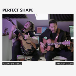 Album Perfect Shape from 