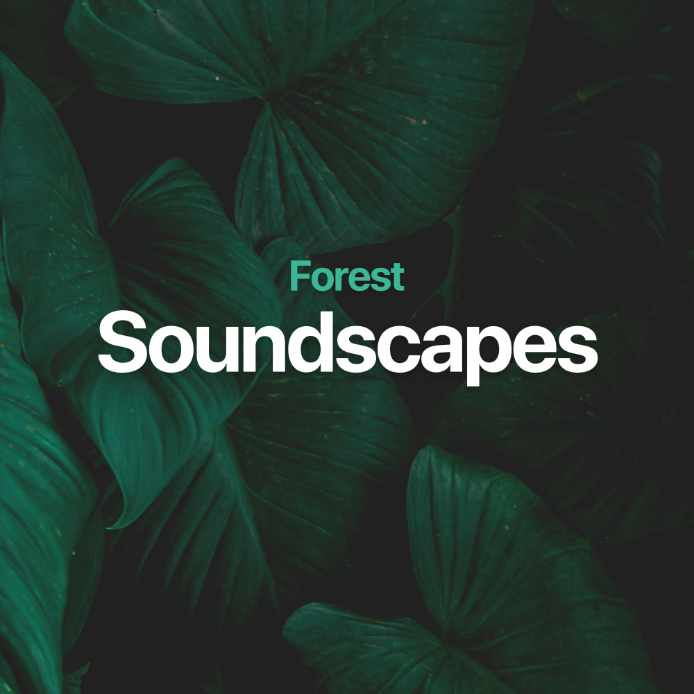 Saccharine Music from Nature