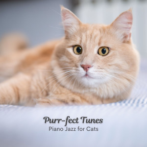 1940s Coffee Jazz的专辑Purr-fect Tunes: Piano Jazz for Cats