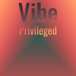 อัลบัม Vibe Privileged ศิลปิน Various