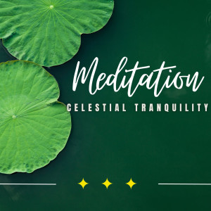 Album Celestial Tranquility: Meditation Under the Stars oleh Transcendental Meditation