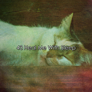 Album 43 Heal Me With Sleep from Spa Relaxation & Spa