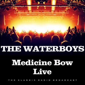 ดาวน์โหลดและฟังเพลง We Will Not Be Lovers (Live) พร้อมเนื้อเพลงจาก The Waterboys