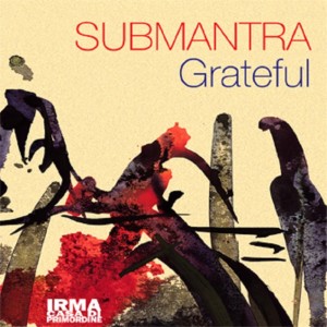 ดาวน์โหลดและฟังเพลง Grateful (Deep Mix) พร้อมเนื้อเพลงจาก Submantra