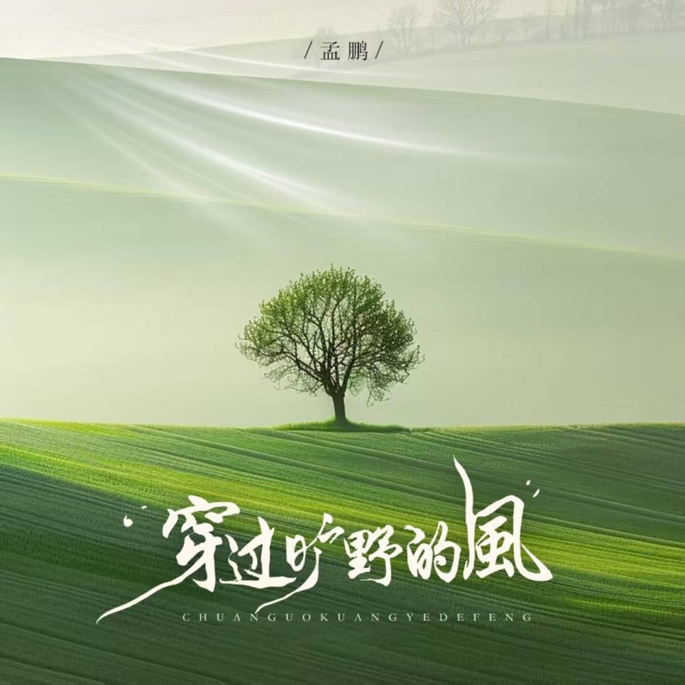 穿过旷野的风