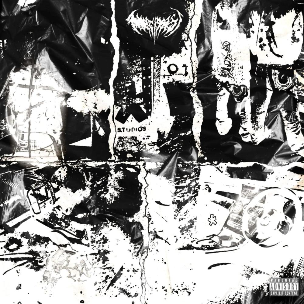 Brotherband (Explicit)