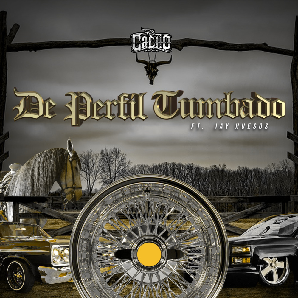 De Perfil Tumbado (Explicit)