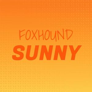 Various的专辑Foxhound Sunny