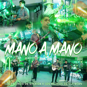 Dengarkan Encendido Clavel lagu dari Los Belicos De Culiacan dengan lirik