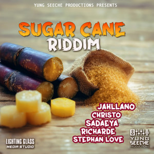 Various Artists的專輯Sugar Cane Riddim