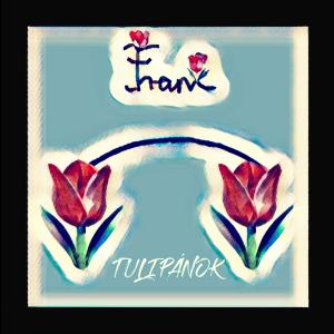 ดาวน์โหลดและฟังเพลง Tulipánok พร้อมเนื้อเพลงจาก Franx
