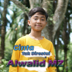 Dengarkan Cinta Tak Direstui lagu dari Alwalid MZ dengan lirik