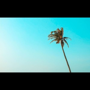 Listen to Ambience for Sleeping song with lyrics from Yoga Music