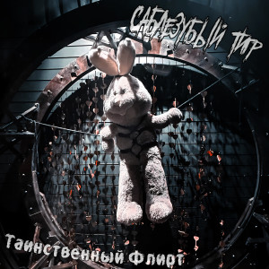 Listen to Клумбы song with lyrics from Саблезубый Тигр