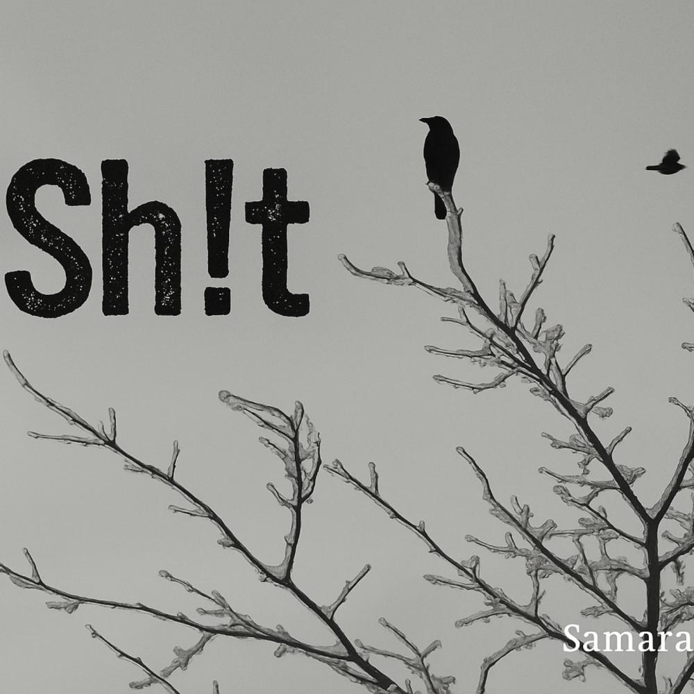 Sh!t (Explicit)