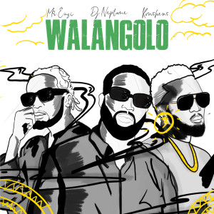 Listen to Walangolo song with lyrics from DJ Neptune