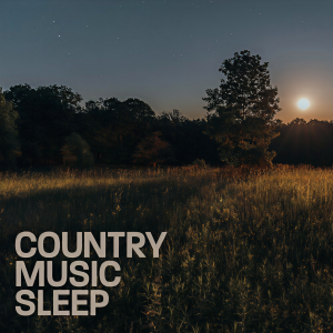 Album Country Music Sleep oleh Various