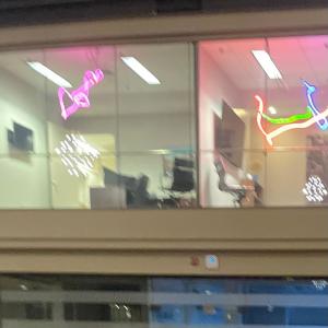 收聽fleafriends的5 (feat. dami) (Explicit)歌詞歌曲