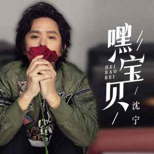 Listen to 嘿宝贝 (伴奏) song with lyrics from 沈宁