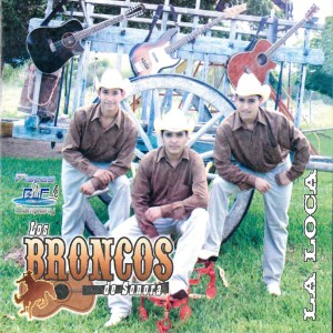 ดาวน์โหลดและฟังเพลง Gordito Country พร้อมเนื้อเพลงจาก Los Broncos de Sonora