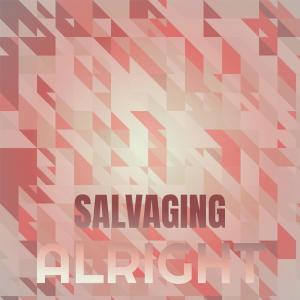 Various Artists的專輯Salvaging Alright