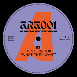 Album What They Want from Denyl Brook