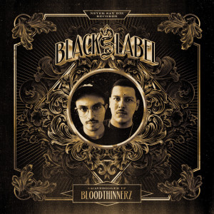 Listen to Pick It Up song with lyrics from BloodThinnerz