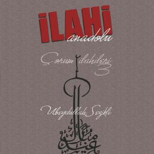 收聽Enes Durceylan的Rebap Taksim歌詞歌曲