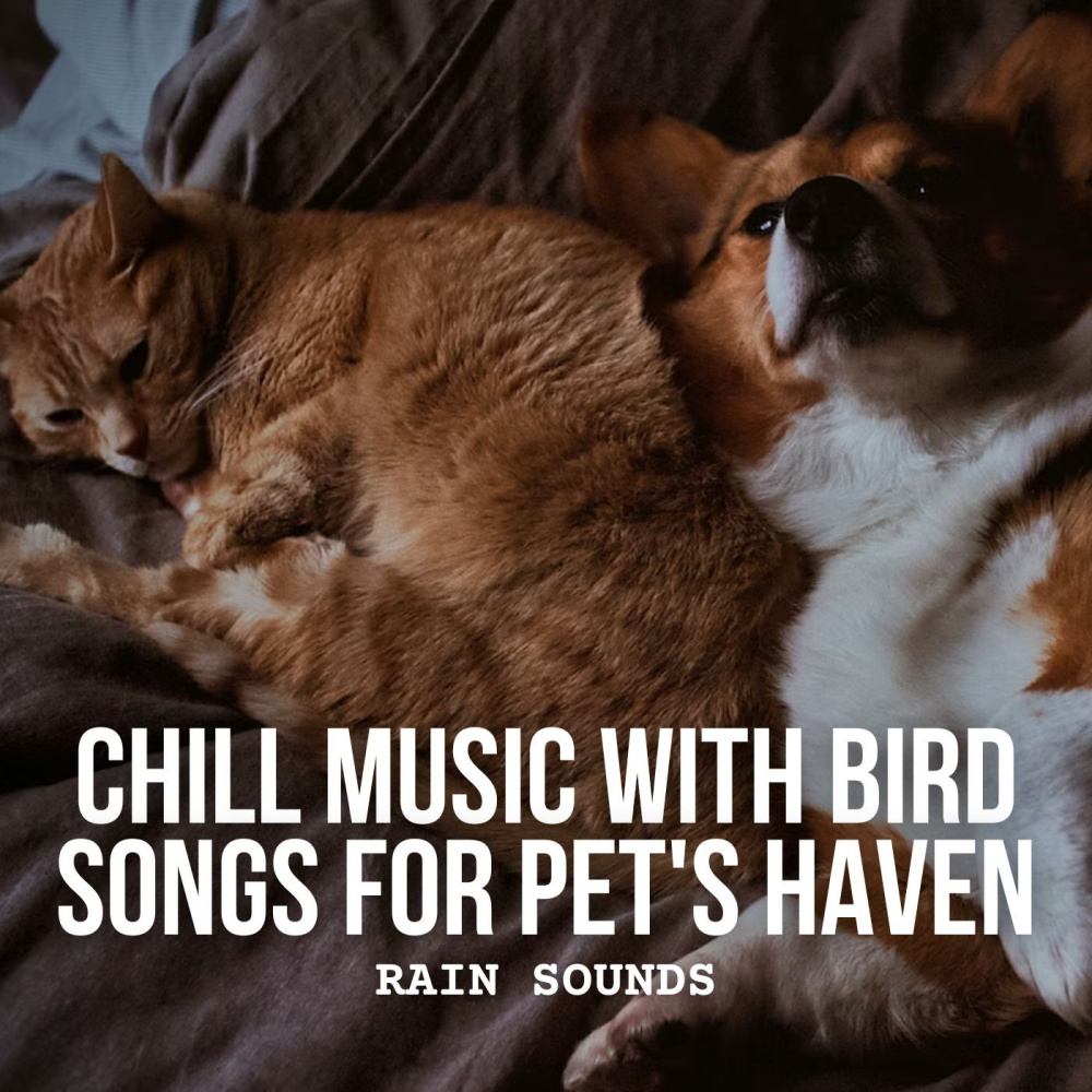 Cozy Pet Rain Ensemble