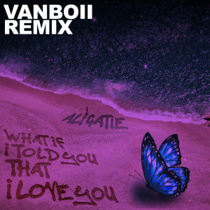 收聽Ali Gatie的What If I Told You That I Love You (Vanboii Remix)歌詞歌曲