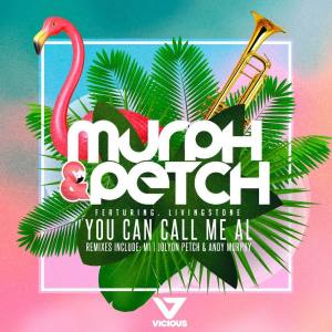 收聽Murph & Petch的You Can Call Me Al (Jolyon Petch & Andy Murphy Club Mix)歌詞歌曲