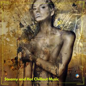 Album Steamy and Hot Chillout Music from Various