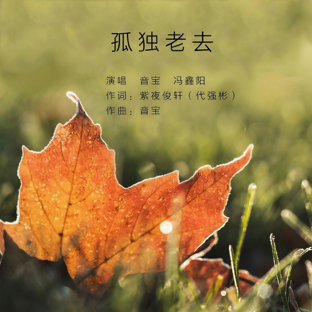 孤独老去（DJ彭锐） (伴奏)