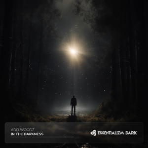 Listen to In The Darkness song with lyrics from Ado Woodz