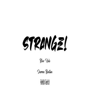 Dengarkan Strange! (Explicit) lagu dari BLUE KALE dengan lirik