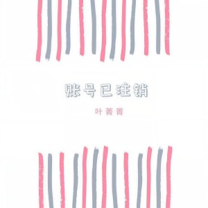 收聽葉菁菁的賬號已註銷 (小提琴曲)歌詞歌曲