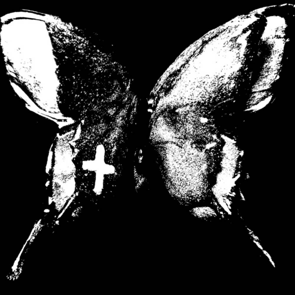 7次冬眠