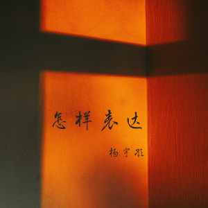 Album 怎样表达 from 楊宇彤