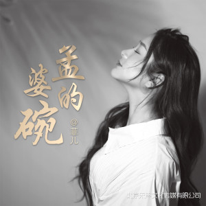 收听菲儿的孟婆的碗歌词歌曲