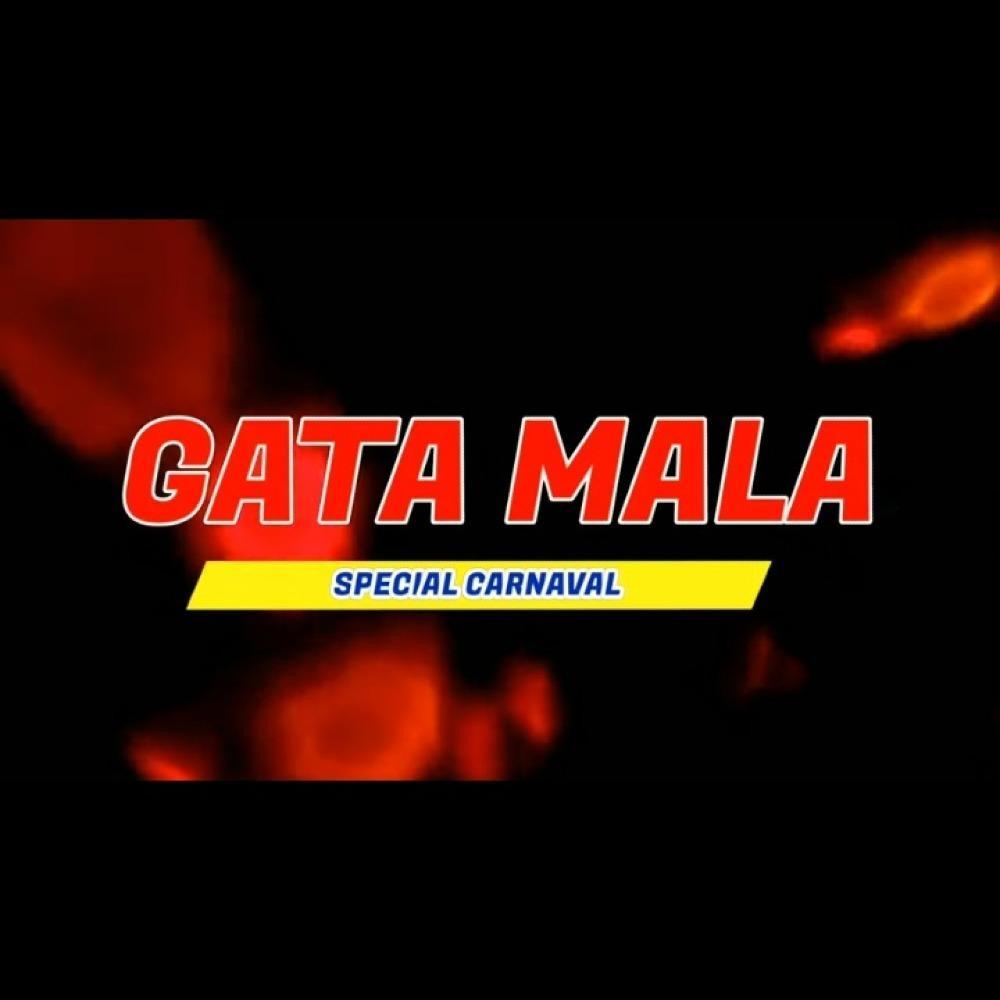 Gata Mala (feat. Kevin ZH) (Version Turreo) (Explicit)
