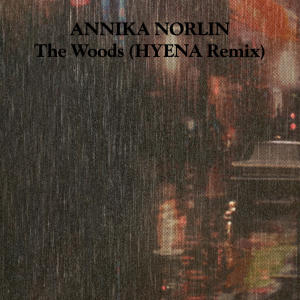 收聽Annika Norlin的The Woods (HYENA Remix)歌詞歌曲