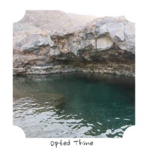Album Opted Thine from Suci