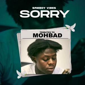 Album Sorry (Tribute to Mohbad) oleh Samboy Vibes