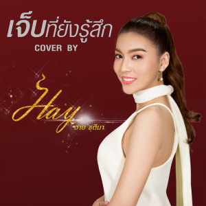 อัลบัม เจ็บที่ยังรู้สึก (Cover) - Single ศิลปิน ฮาย ชุติมา