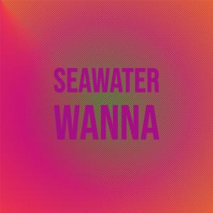 Listen to Seawater Wanna song with lyrics from Prace Aise