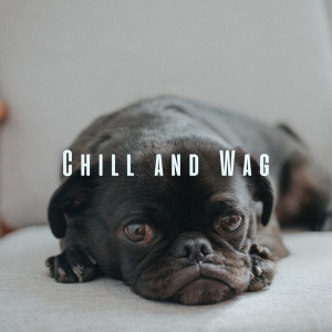 Album Chill and Wag: Relaxing Tunes for Zen Doggy Vibes from Dogs