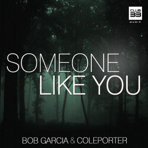 ดาวน์โหลดและฟังเพลง Someone Like You (Radio Edit) พร้อมเนื้อเพลงจาก Bob Garcia