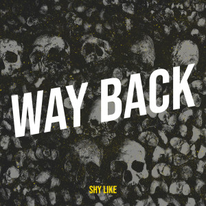 Album Way Back from Shy Like