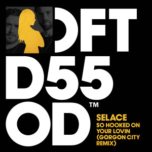 收聽Selace的So Hooked On Your Lovin (Gorgon City Extended Remix)歌詞歌曲