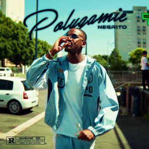Album POLYGAMIE (Explicit) from 